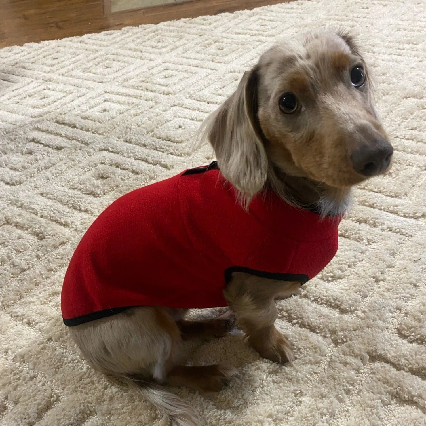 2-Color Fleece Dachshund Sweater