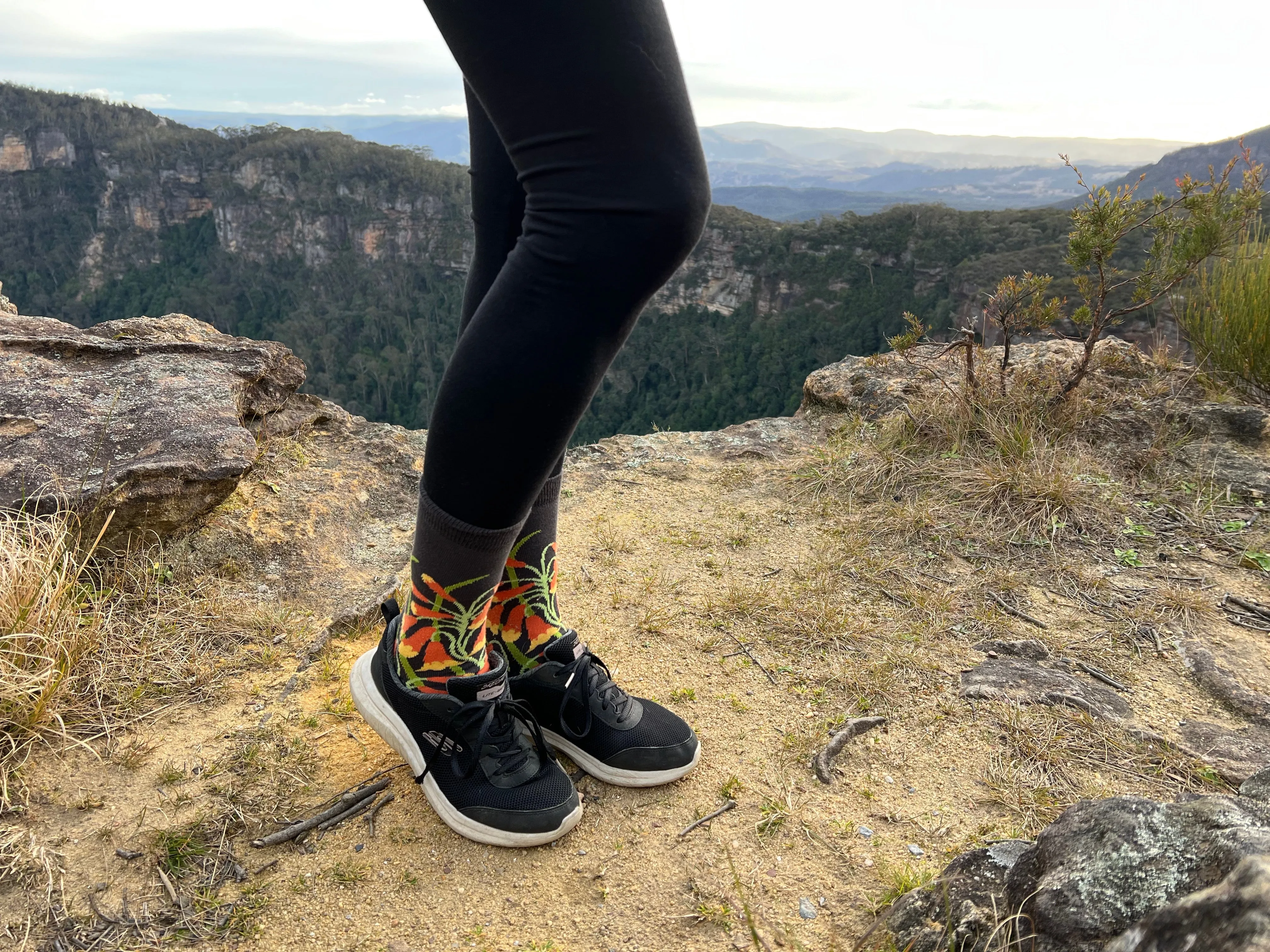 Christmas Bells Women's Crew Socks - Australian Botanical Range