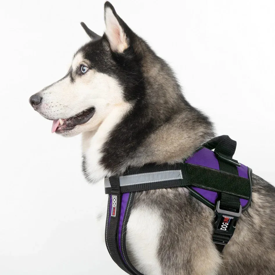 Dogline Unimax Multi-Purpose Dog Harness Gray