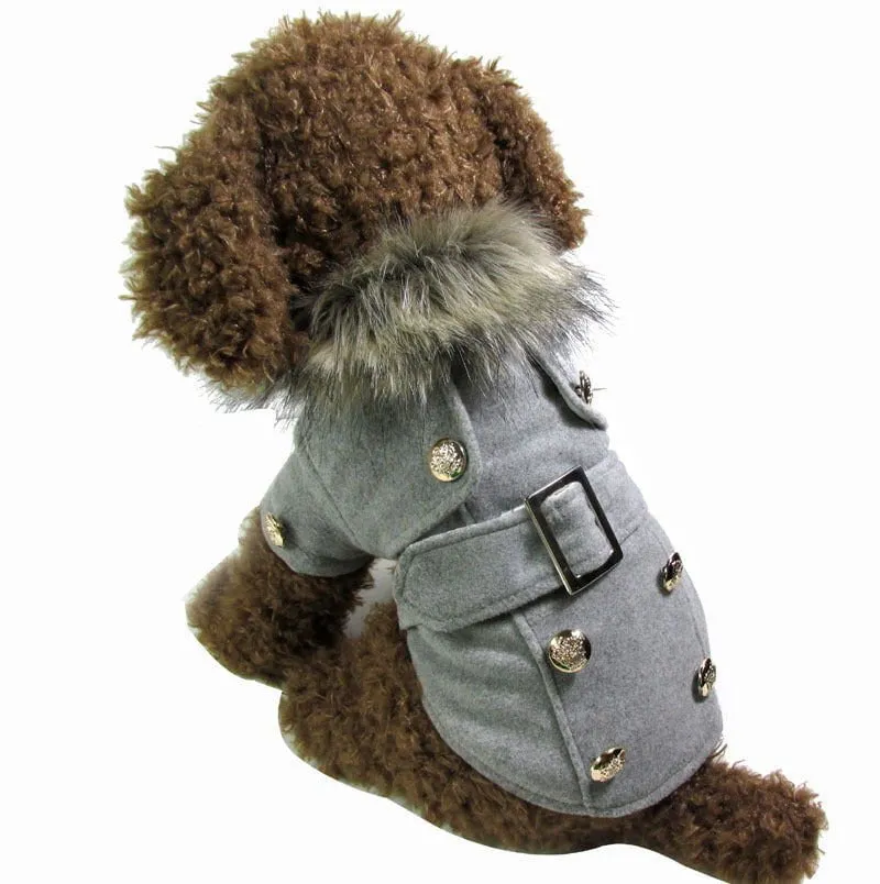 LovelyRLovely warm cotton pet clothing