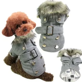 LovelyRLovely warm cotton pet clothing