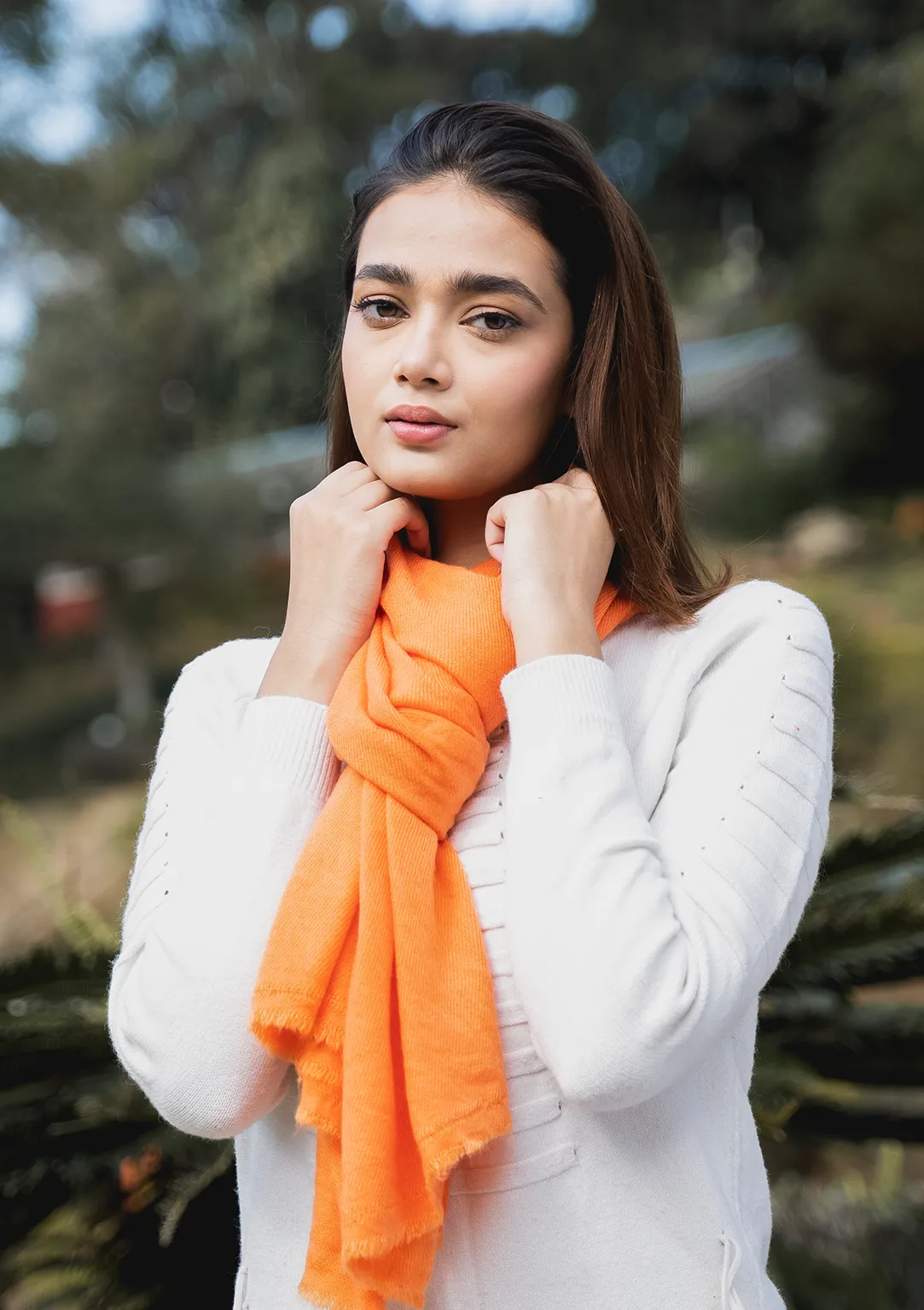 Pure Pashmina Orange Color Shawl