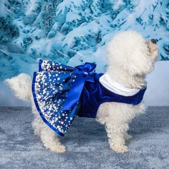 Snowflakes Dress with Matching Leash