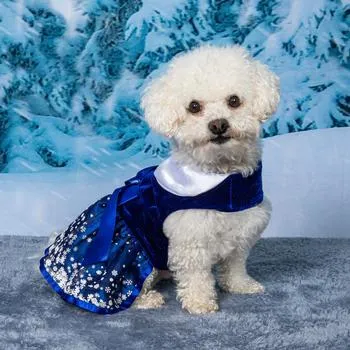 Snowflakes Dress with Matching Leash