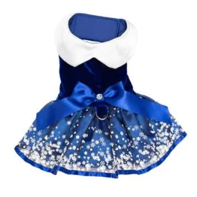 Snowflakes Dress with Matching Leash