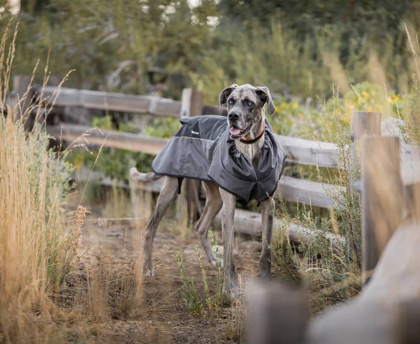 Trailblazing Coat